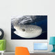 Whale Shark Feeding under Wall Decal Design 8