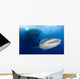 Whale Shark Feeding under Wall Decal Design 7