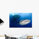 Whale Shark Feeding under Wall Decal Design 7