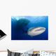 Whale Shark Feeding under Wall Decal Design 7