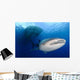 Whale Shark Feeding under Wall Decal Design 7