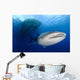 Whale Shark Feeding under Wall Decal Design 7
