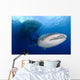 Whale Shark Feeding under Wall Decal Design 7