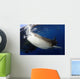 Whale Shark Feeding under Wall Decal Design 6