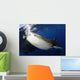 Whale Shark Feeding under Wall Decal Design 6