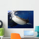Whale Shark Feeding under Wall Decal Design 6