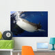 Whale Shark Feeding under Wall Decal Design 6