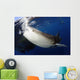 Whale Shark Feeding under Wall Decal Design 6