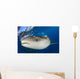 Whale Shark Feeding under Wall Decal Design 5