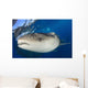 Whale Shark Feeding under Wall Decal Design 5