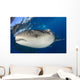 Whale Shark Feeding under Wall Decal Design 5