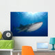 Whale Shark Feeding under Wall Decal Design 4