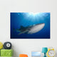 Whale Shark Feeding under Wall Decal Design 4