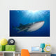 Whale Shark Feeding under Wall Decal Design 4