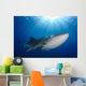 Whale Shark Feeding under Wall Decal Design 4
