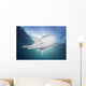Whale Shark Feeding under Wall Decal Design 3