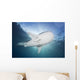 Whale Shark Feeding under Wall Decal Design 3