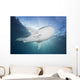Whale Shark Feeding under Wall Decal Design 3