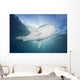 Whale Shark Feeding under Wall Decal Design 3