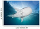 Whale Shark Feeding under Wall Decal Design 3