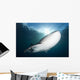 Whale Shark Feeding under Wall Decal Design 2