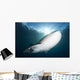 Whale Shark Feeding under Wall Decal Design 2