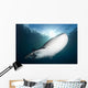 Whale Shark Feeding under Wall Decal Design 2