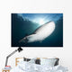 Whale Shark Feeding under Wall Decal Design 2