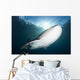 Whale Shark Feeding under Wall Decal Design 2