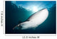 Whale Shark Feeding under Wall Decal Design 2