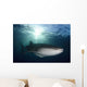 Whale Shark Feeding under Wall Decal Design 1