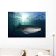 Whale Shark Feeding under Wall Decal Design 1