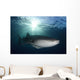 Whale Shark Feeding under Wall Decal Design 1