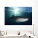 Whale Shark Feeding under Wall Decal Design 1