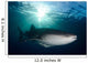 Whale Shark Feeding under Wall Decal Design 1