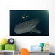 Scuba Diver and Whale Wall Decal