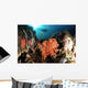 Diver Explores Coral Reef Wall Decal