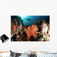 Diver Explores Coral Reef Wall Decal