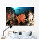 Diver Explores Coral Reef Wall Decal