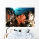 Diver Explores Coral Reef Wall Decal