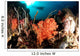 Diver Explores Coral Reef Wall Decal