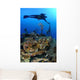 Diver Hangs to Piece Wall Decal