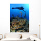 Diver Hangs to Piece Wall Decal