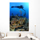 Diver Hangs to Piece Wall Decal