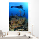 Diver Hangs to Piece Wall Decal