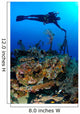 Diver Hangs to Piece Wall Decal