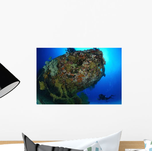 Diver under Coral Encrusted Wall Decal