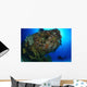 Diver under Coral Encrusted Wall Decal