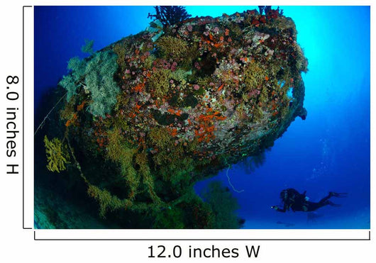 Diver under Coral Encrusted Wall Decal