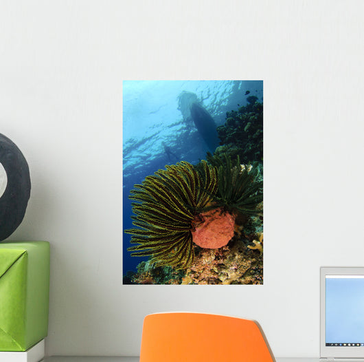 Variable Bushy Feather Star Wall Decal